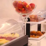 מלון Concha
