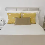 Concha סאו מרטיניו דו פורטו